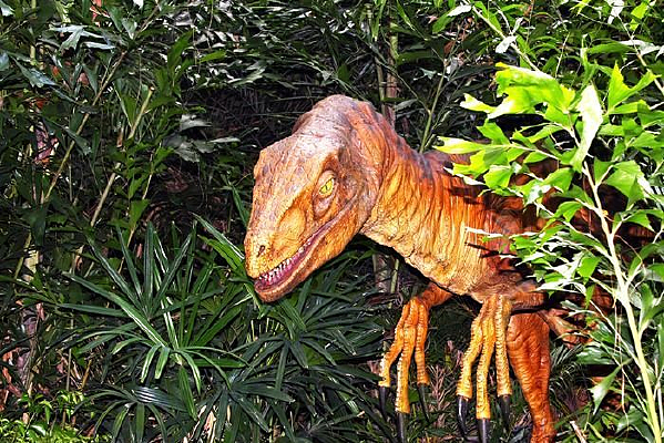 ������д