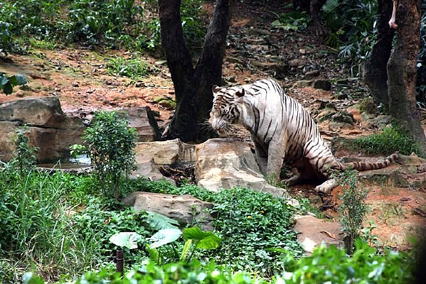 �����ϻ�