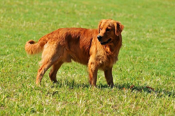 ��ëȮ����