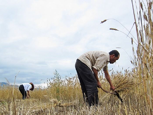 ũ�������