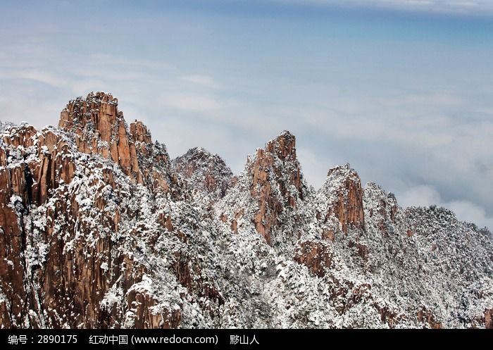 ��ɽ��ѩ��ʨ�ַ�ͼƬ