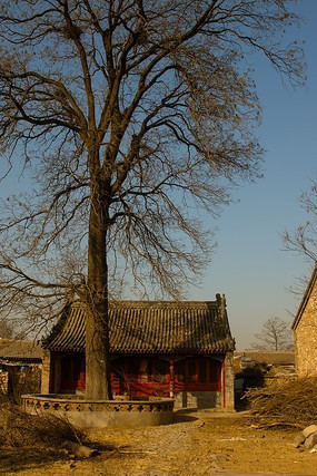 ��˹ųǵ�����