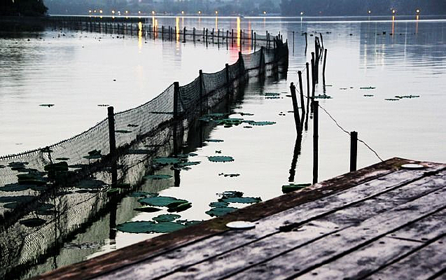 �Ͼ��������԰