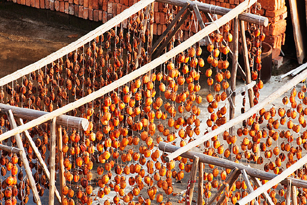 ��ɹ���ӱ�