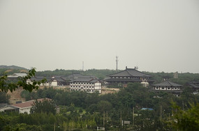 ����Զ��