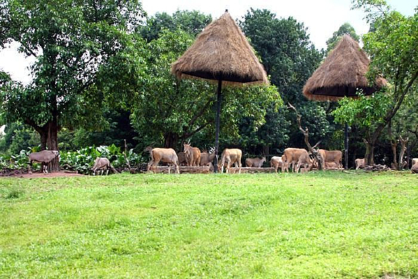 Ұ������