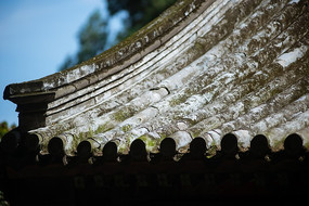 �ú�԰����