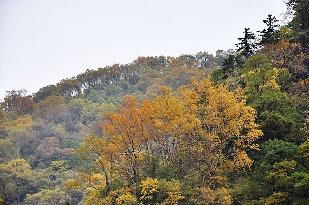 ��ɽ����ɫ