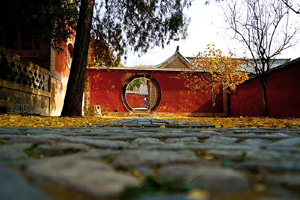 ����Ժ��