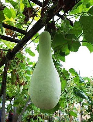 �����µĹ�