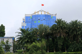 ����ɼ��