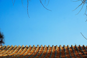 ������ͼ