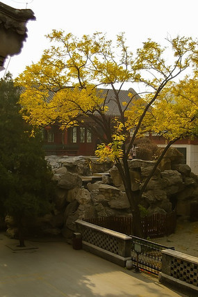 ����Ҷȫ��