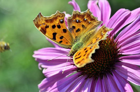 �����ͺ��ľ�