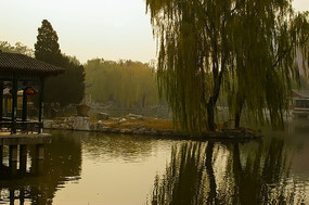 ��Ӱ��ӳ����