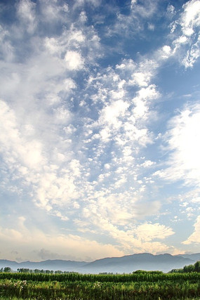 �����µĲݵ�