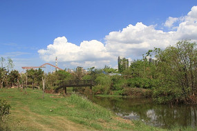 �����Ĳ�ƺ