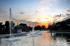 ҹɫ�µ���Ȫ