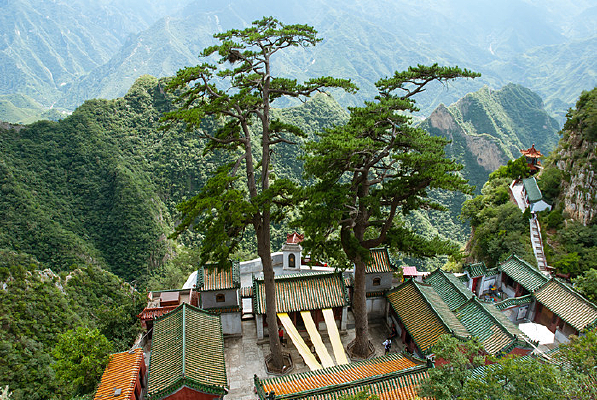 �ɼ�����