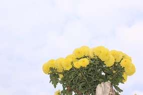 ����µľջ�