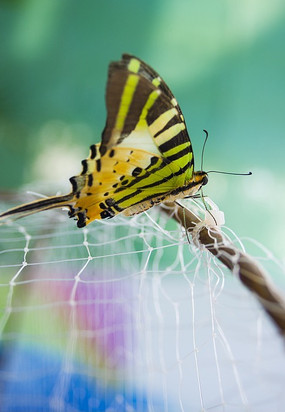 ͣ��������Ϣ�ĺ���