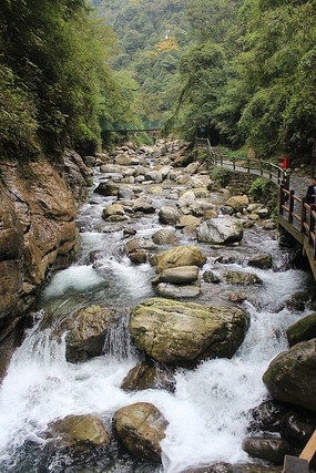 ɽ������