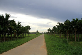 �����С��