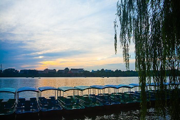 ��Ҷ����