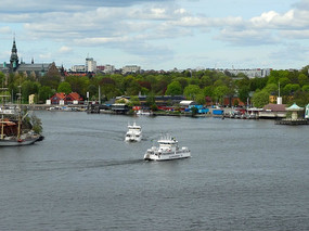 ����籾����