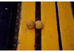 ����Բ��