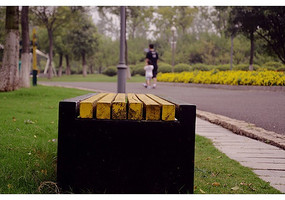 ��԰��ĳ���