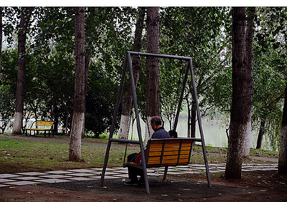 ��԰�ݵ�ʯ��С·