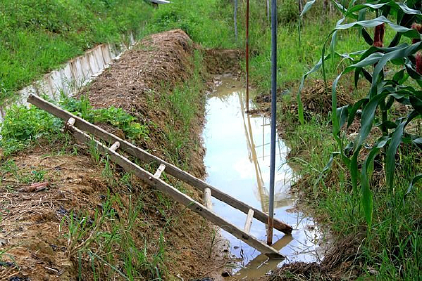 ��԰����