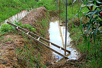 ��԰����