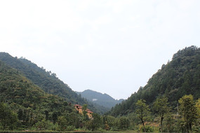 ɽ������