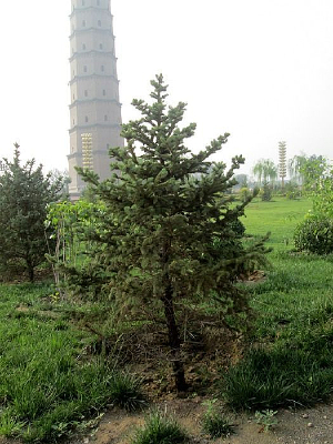 ���µ�һ��