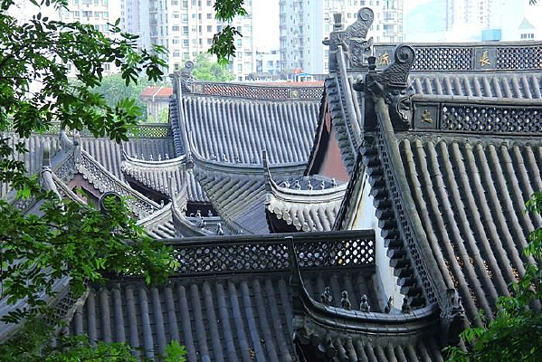 ��ɽ�µ��ݶ�