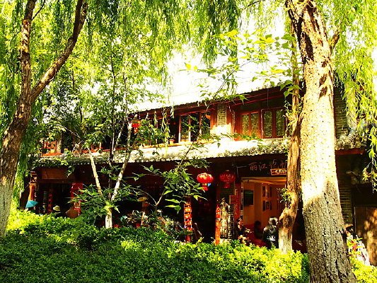 �����ľư�