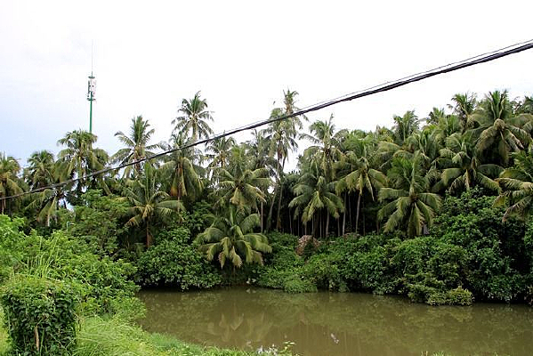 ����������