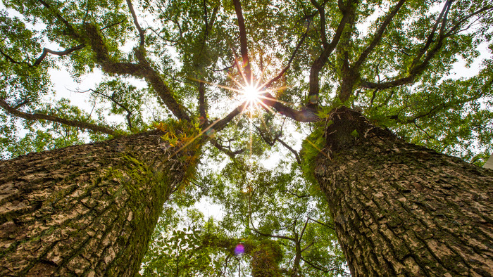 ������â