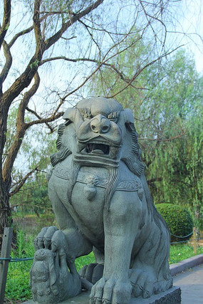 ����ʨ�ӵ���