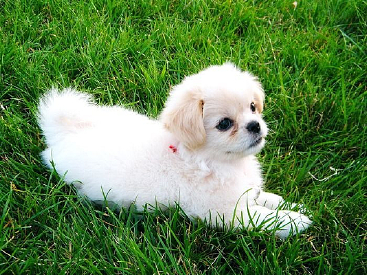 �ݵ����С��