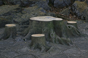 ��׮����