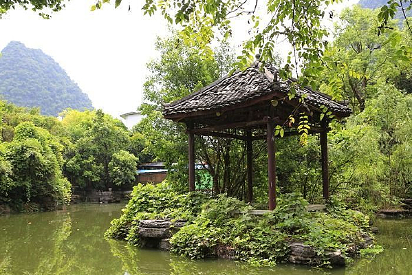 ��԰������ͤ