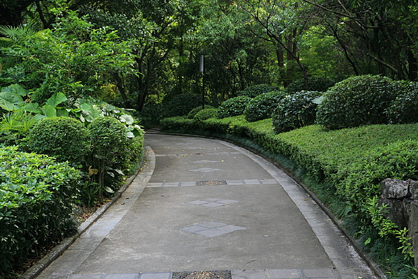 ����ͨ��