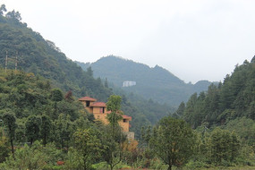 ɽ���ı���