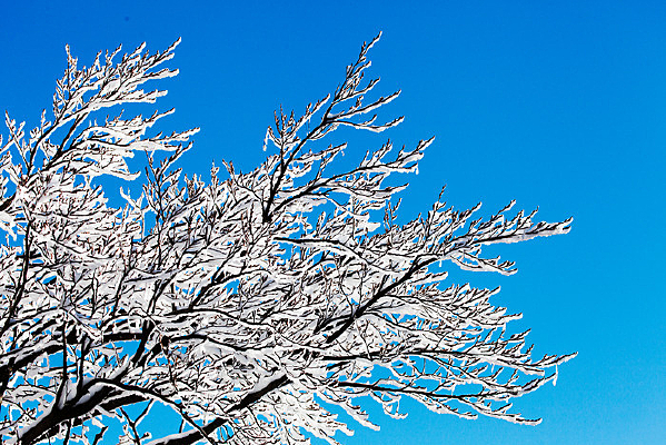 ѩ��ѩɽ����