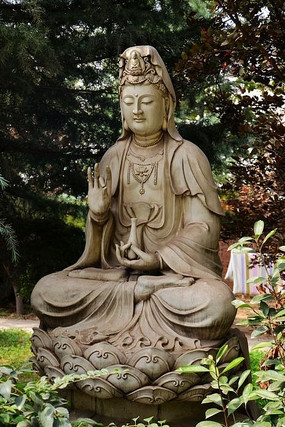 �Ϻ���������