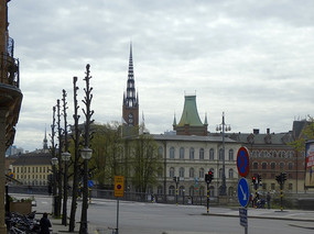 ŷʽ�ⶥ����