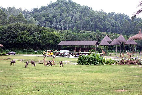 ��¡��������